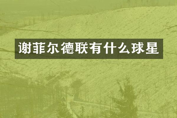 谢菲尔德联有什么球星