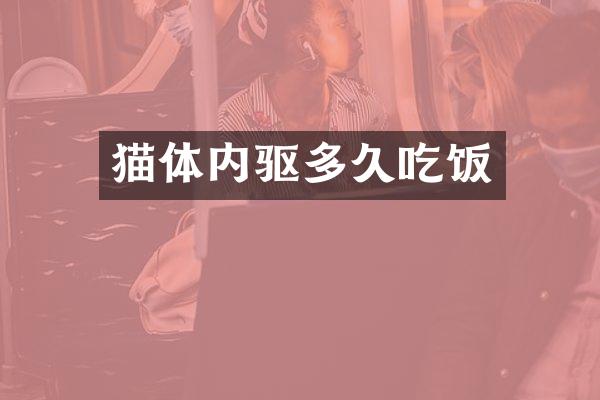 猫体内驱多久吃饭