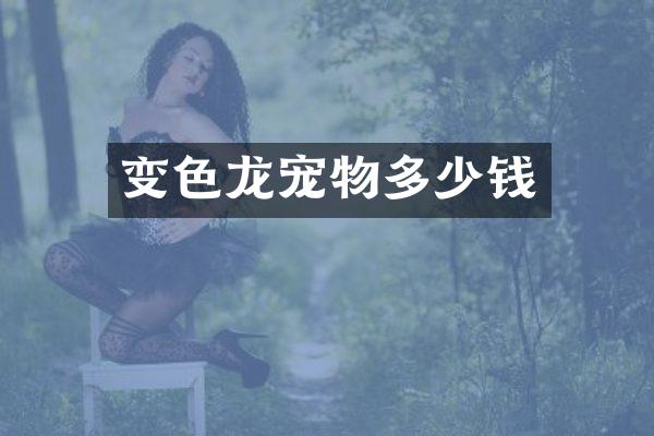 变色龙宠物多少钱