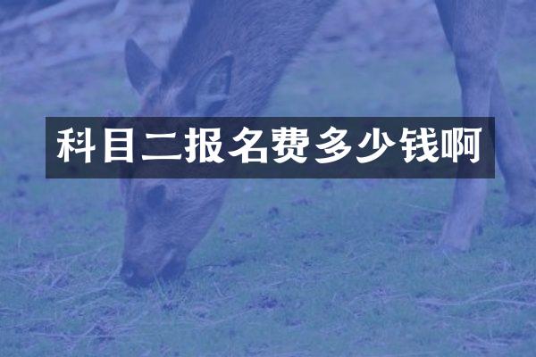 科目二报名费多少钱啊