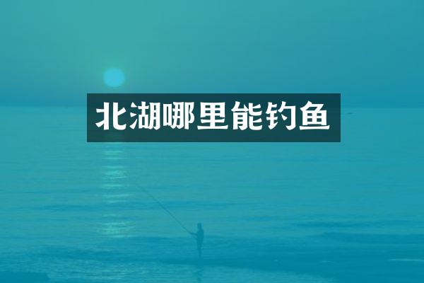 北湖哪里能钓鱼