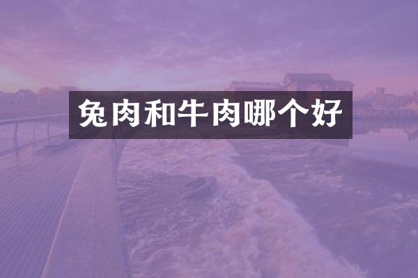 兔肉和牛肉哪个好