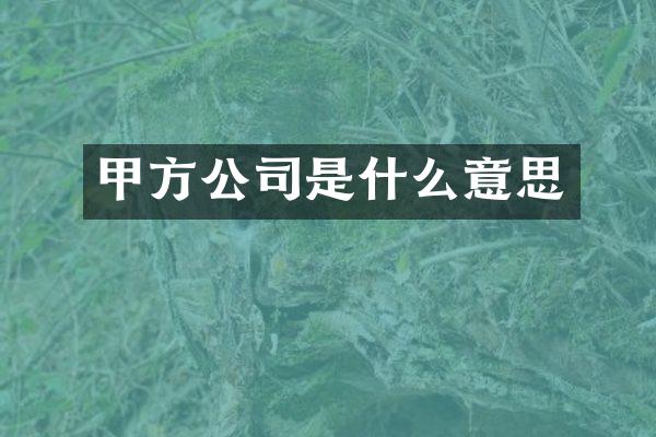 甲方公司是什么意思
