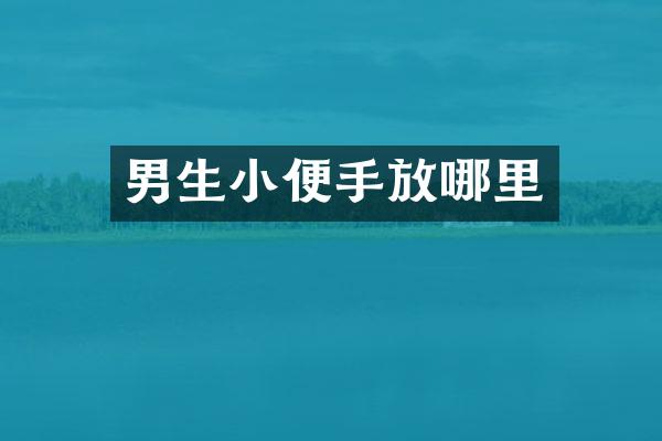 男生小便手放哪里
