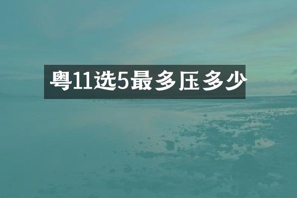 粤11选5最多压多少