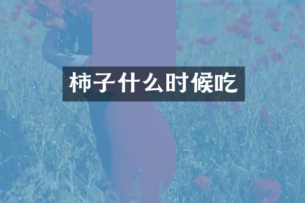 柿子什么时候吃