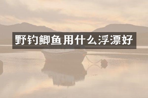 野钓鲫鱼用什么浮漂好