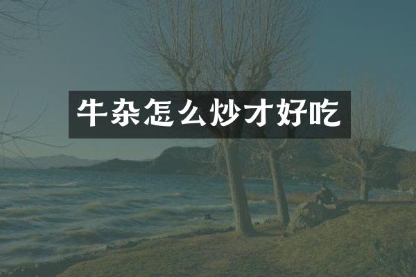 牛杂怎么炒才好吃
