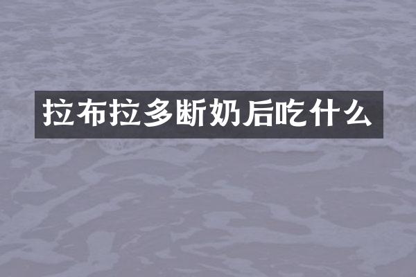 拉布拉多断奶后吃什么