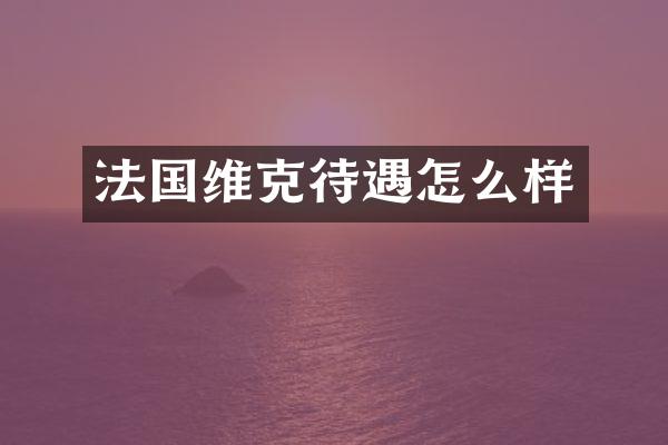法国维克待遇怎么样