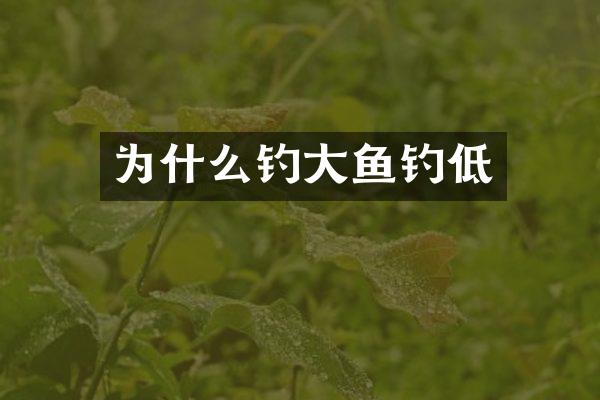 为什么钓大鱼钓低