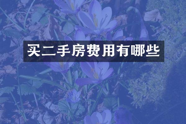 买二手房费用有哪些