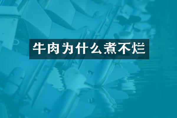 牛肉为什么煮不烂