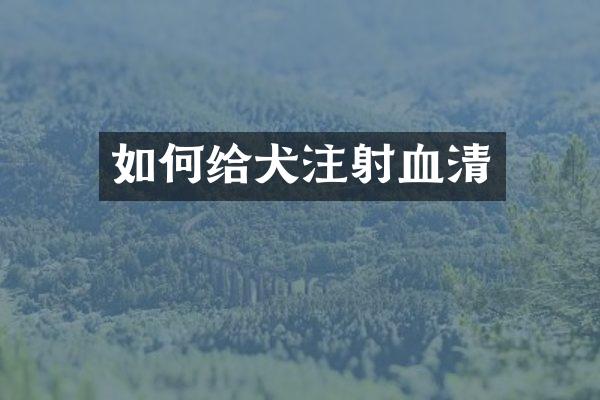 如何给犬注射血清