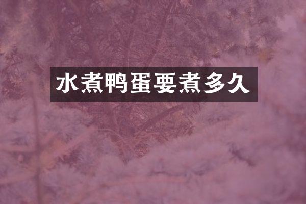 水煮鸭蛋要煮多久