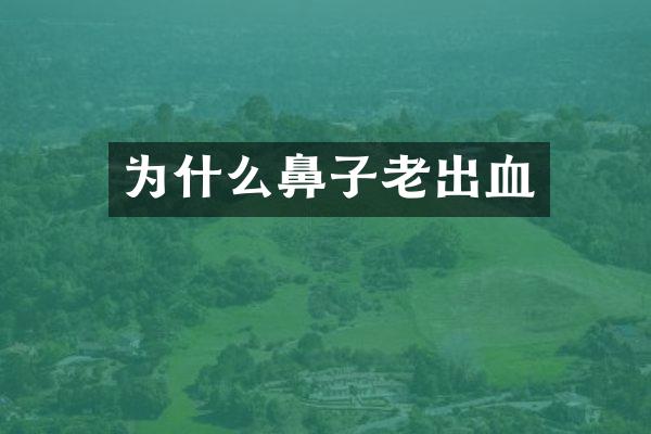 为什么鼻子老出血