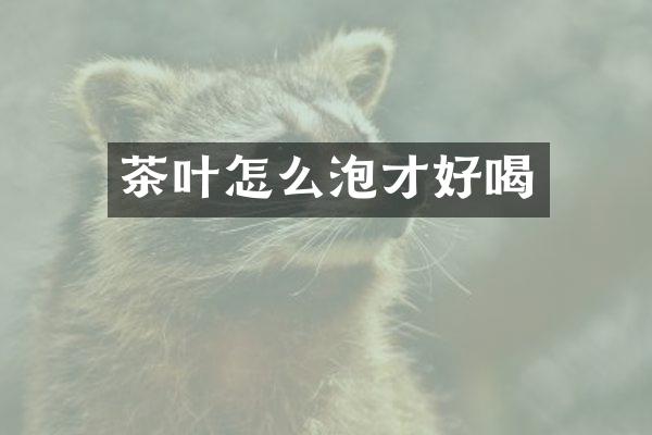 茶叶怎么泡才好喝