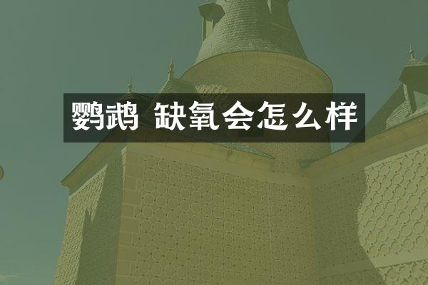 鹦鹉 缺氧会怎么样