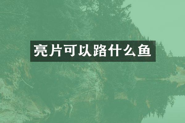 亮片可以路什么鱼