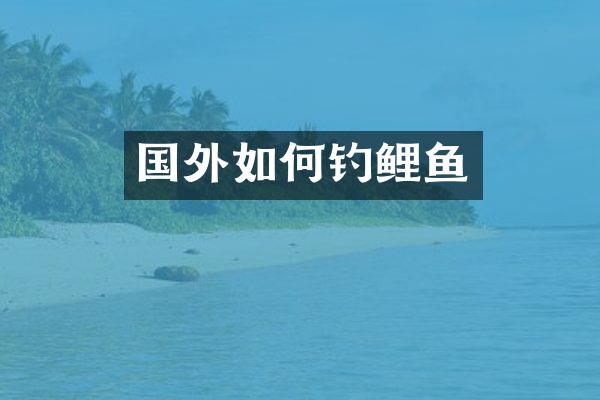 国外如何钓鲤鱼