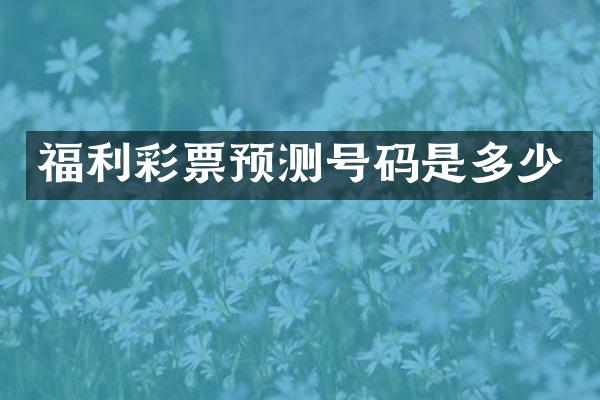 福利彩票预测号码是多少