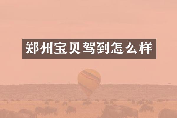 郑州宝贝驾到怎么样