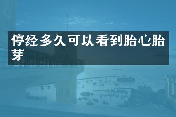 停经多久可以看到胎心胎芽