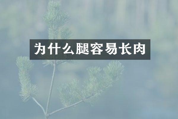 为什么腿容易长肉