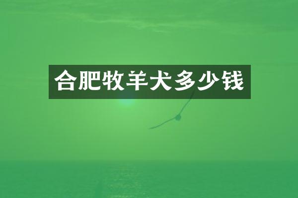 合肥牧羊犬多少钱