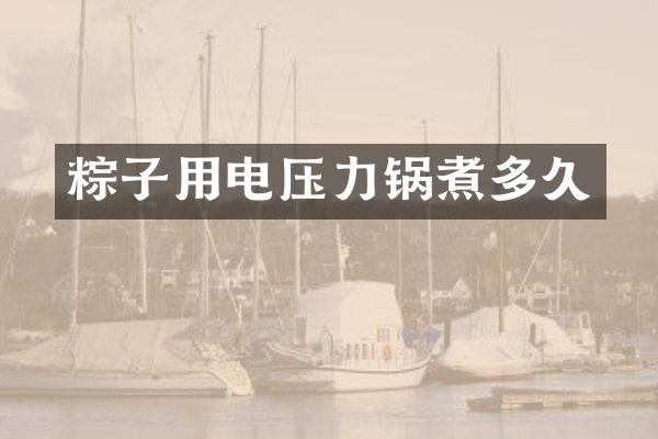 粽子用电压力锅煮多久