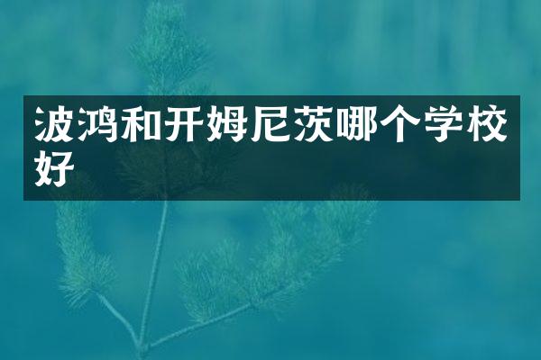波鸿和开姆尼茨哪个学校好