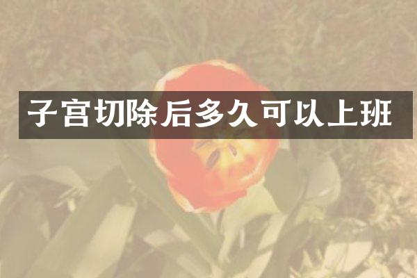 子宫切除后多久可以上班