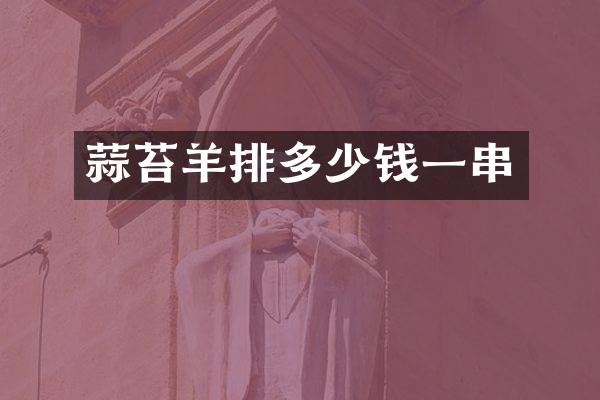 蒜苔羊排多少钱一串