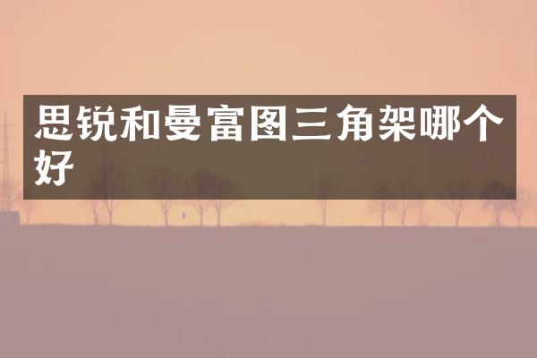 思锐和曼富图三角架哪个好