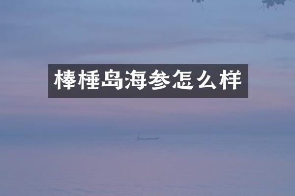 棒棰岛海参怎么样