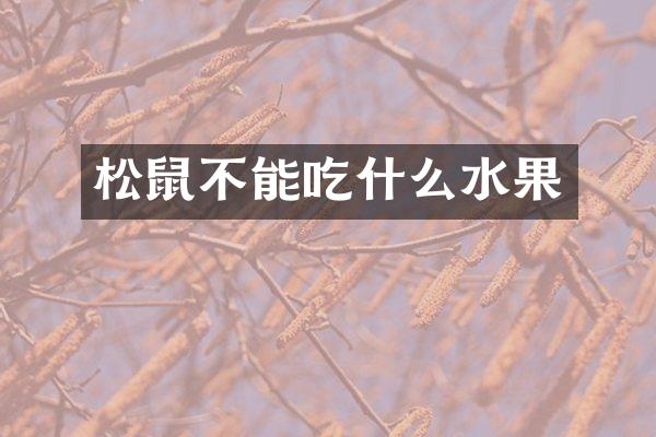 松鼠不能吃什么水果