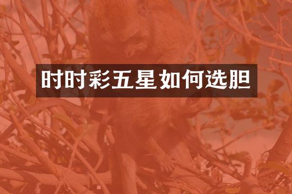 时时彩五星如何选胆