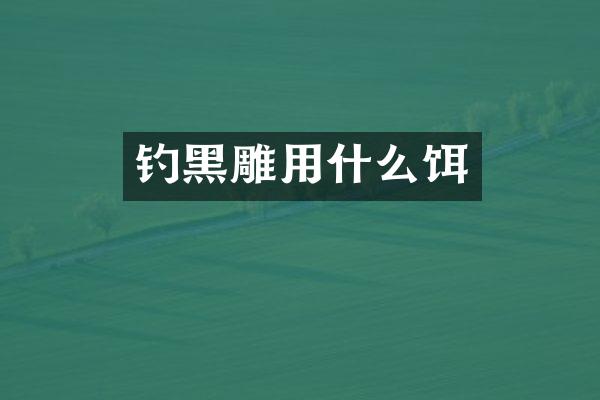 钓黑雕用什么饵