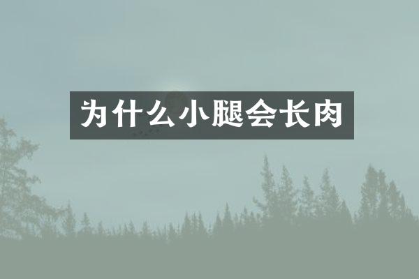 为什么小腿会长肉