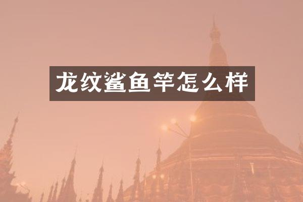 龙纹鲨鱼竿怎么样