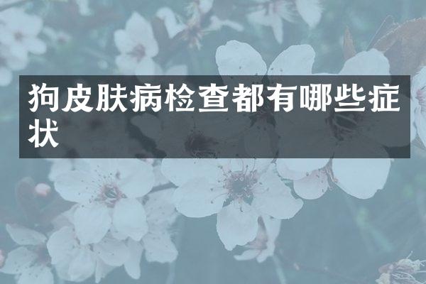 狗皮肤病检查都有哪些症状