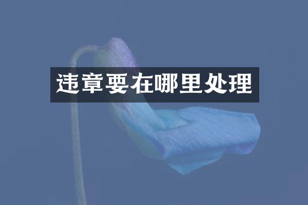 违章要在哪里处理