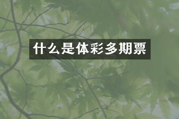 什么是体彩多期票