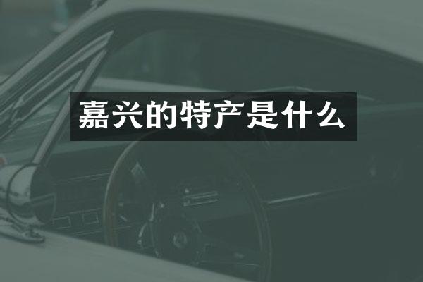 嘉兴的特产是什么