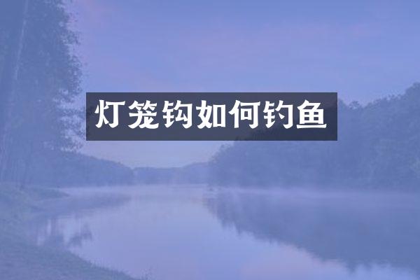 灯笼钩如何钓鱼