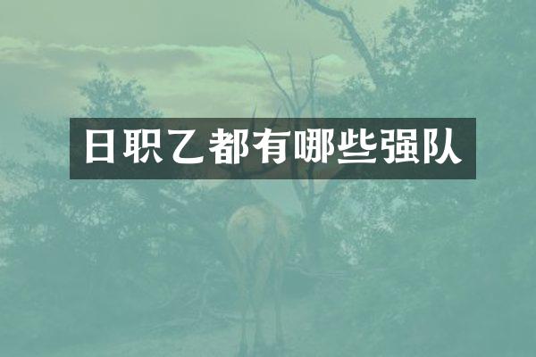 日职乙都有哪些强队