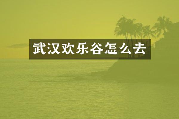 武汉欢乐谷怎么去