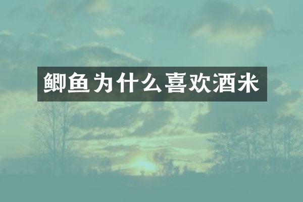 鲫鱼为什么喜欢酒米
