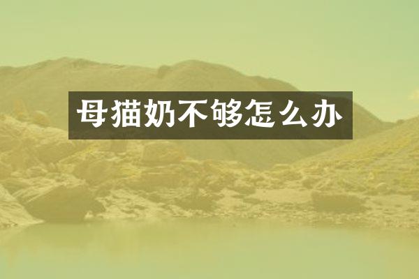 母猫奶不够怎么办