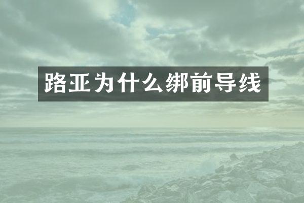 路亚为什么绑前导线